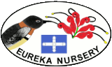 Eureka Nursery